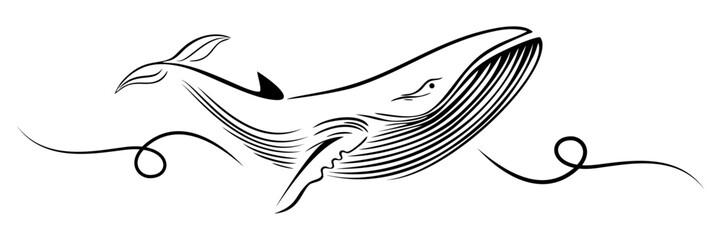 line art illustratiom background blue whale