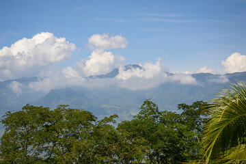 clouds over the forest