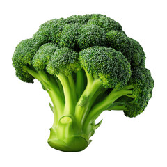 A fresh green broccoli floret is isolated on transparent background, showcasing its healthy and nutritious qualities