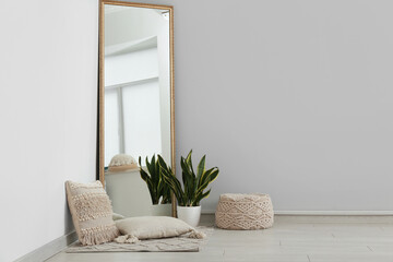 Floor mirror, houseplant and cushions near white wall in room