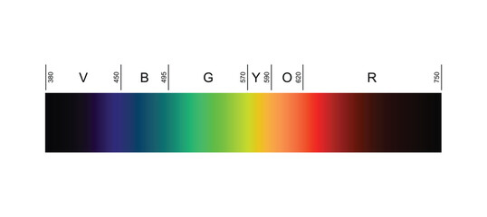 Fototapeta premium Linear Visible Spectrum Color Gradient