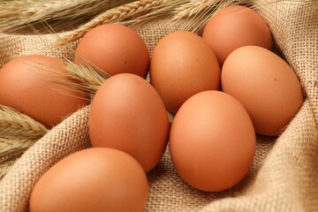 Fresh eggs and spikes on burlap cloth, closeup