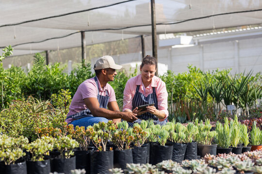 Tablet computer resting among potted succulents under shade net structure with support poles - Powered by Adobe