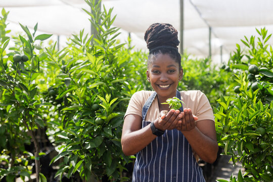 African American woman in plant nursery holding seedling wearing striped apron and smartwatch