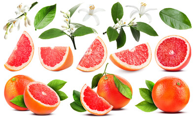 Fresh grapefruits, green leaves and flowers on white background, collage
