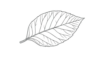 Minimalist Leaf Line Art Icon on White Background