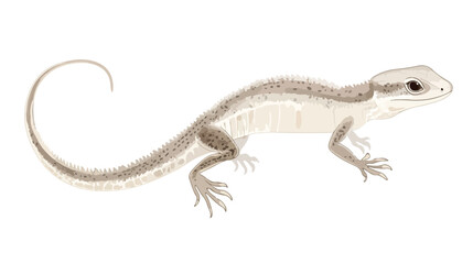 Naklejka premium Unique Lizard with Transparent Tail Displaying Scales