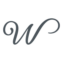 Elegant Cursive Letter W in Dark Gray Script with White Outline
