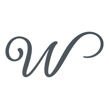 Elegant Cursive Letter W in Dark Gray Script with White Outline
