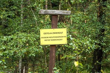 Ostoja zwierząt wstęp wzbroniony, tabliczka informacyjna w lesie,  © © Jakacki