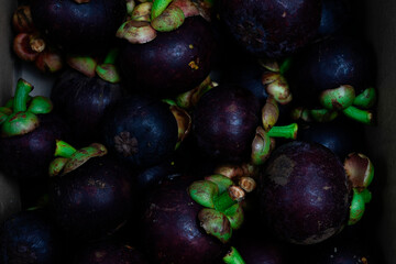 A vibrant collection of ripe raw mangosteen fruits arranged on a white background.
