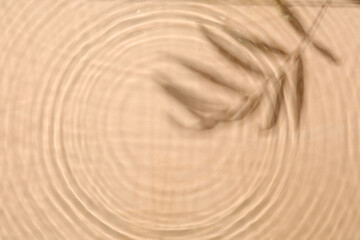 Texture of water drops and shadow of twig on beige background, closeup