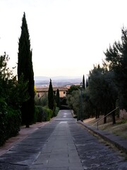 A stone path leading uphill with cypress trees and other greenery on each side