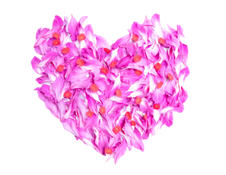 Petals of bauhinia and euphorbia roses flower in heart shape isolated on transparent background.