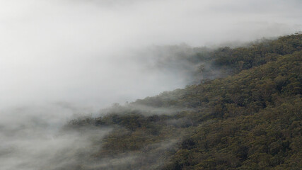 Hazy morning over Blue Mountains National Park NSW, Australia