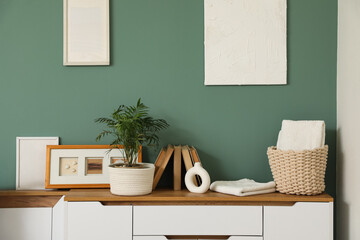 Books, houseplant and photo frames on chest of drawers near green wall in room, closeup