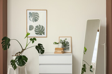 Interior of living room with chest of drawers, floor mirror and houseplants, closeup