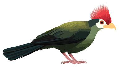 Fototapeta premium Vibrant Red Crested Turaco Flat Vector Illustration