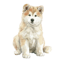 Akita Inu puppy sitting calmly with fluffy fur and attentive eyes, watercolor style illustration capturing gentle and loyal nature of breed