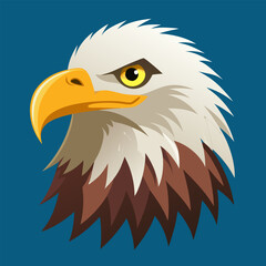 Fototapeta premium american bald eagle