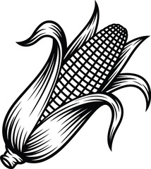 Vintage black and white illustration of a corn cob with husk
