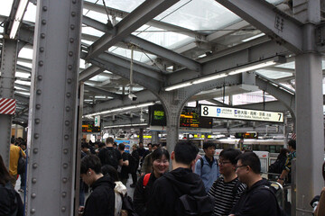 Rush Hour on the Train Station 