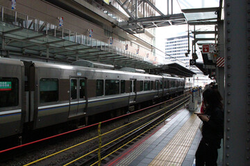 Train Arriving in Rush Hour