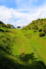 山中城跡 障子堀