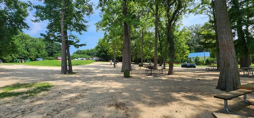 Shaded Picnic Area in a Tree-Covered Park