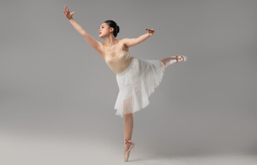 Elegant ballerina in a graceful pose showcasing poise and artistry in a dance studio setting