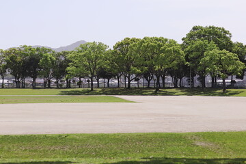 緑のある運動公園