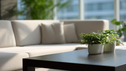 Modern living room Beige sofa coffee table potted plants interior home decor