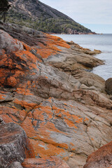 Red-orange lichen covered rocks at Wineglass Bay - Freycinet Peninsula, Tasmania, Australia