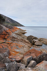 Red-orange lichen covered rocks at Wineglass Bay - Freycinet Peninsula, Tasmania, Australia