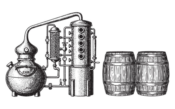 Copper Pot Still with Wooden Barrels for Whiskey Vector Engraving