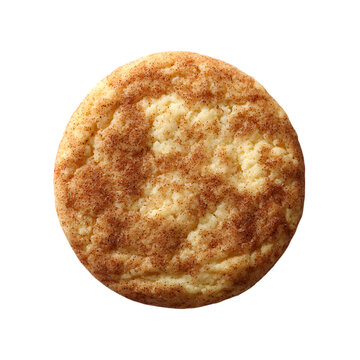 snickerdoodle cookie on transparent background