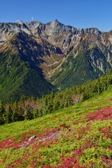 蝶ヶ岳から望む穂高連峰と槍ヶ岳