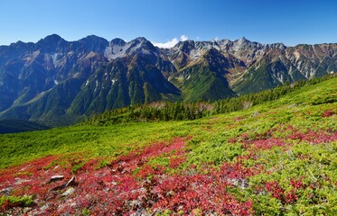 蝶ヶ岳から望む穂高連峰と槍ヶ岳