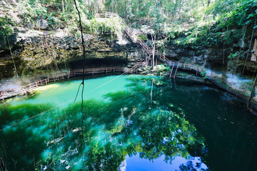 Placid green waters of the X’Canche Cenote, a  natural limestone cavern with a deep natural pool...