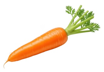 Vibrant orange carrot with green stems isolated on transparent background