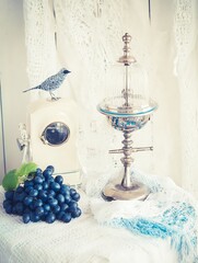 Grapes birdcage vintage eclectic still life