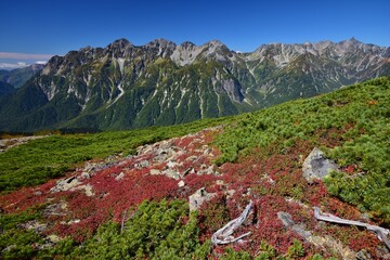 蝶ヶ岳から望む穂高連峰と槍ヶ岳