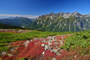 蝶ヶ岳から望む穂高連峰と槍ヶ岳