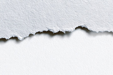Torn piece of paper with subtle texture and jagged contour, lying flat on white, great for content separation in digital projects.