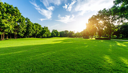 Obraz premium Landscape of grass field and green environment public park use as natural backgroundbackdrop 
