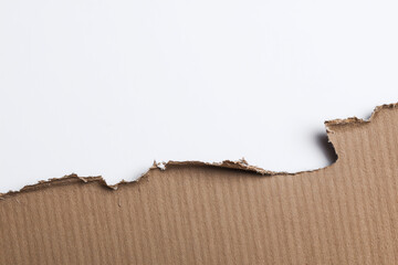 Torn cardboard edge texture showing layered material and fiber breakdown, placed cleanly on white, for use in design backgrounds or handmade aesthetics.