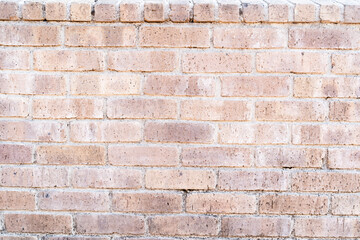 Light Brick Wall Texture⑨
