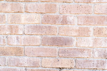 Light Brick Wall Texture⑧
