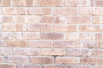 Light Brick Wall Texture⑥