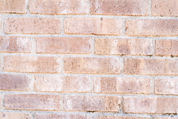 Light Brick Wall Texture⑤